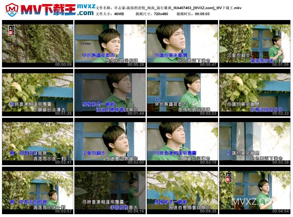 许志豪-流浪的恋情_闽南_流行歌曲_MA407453